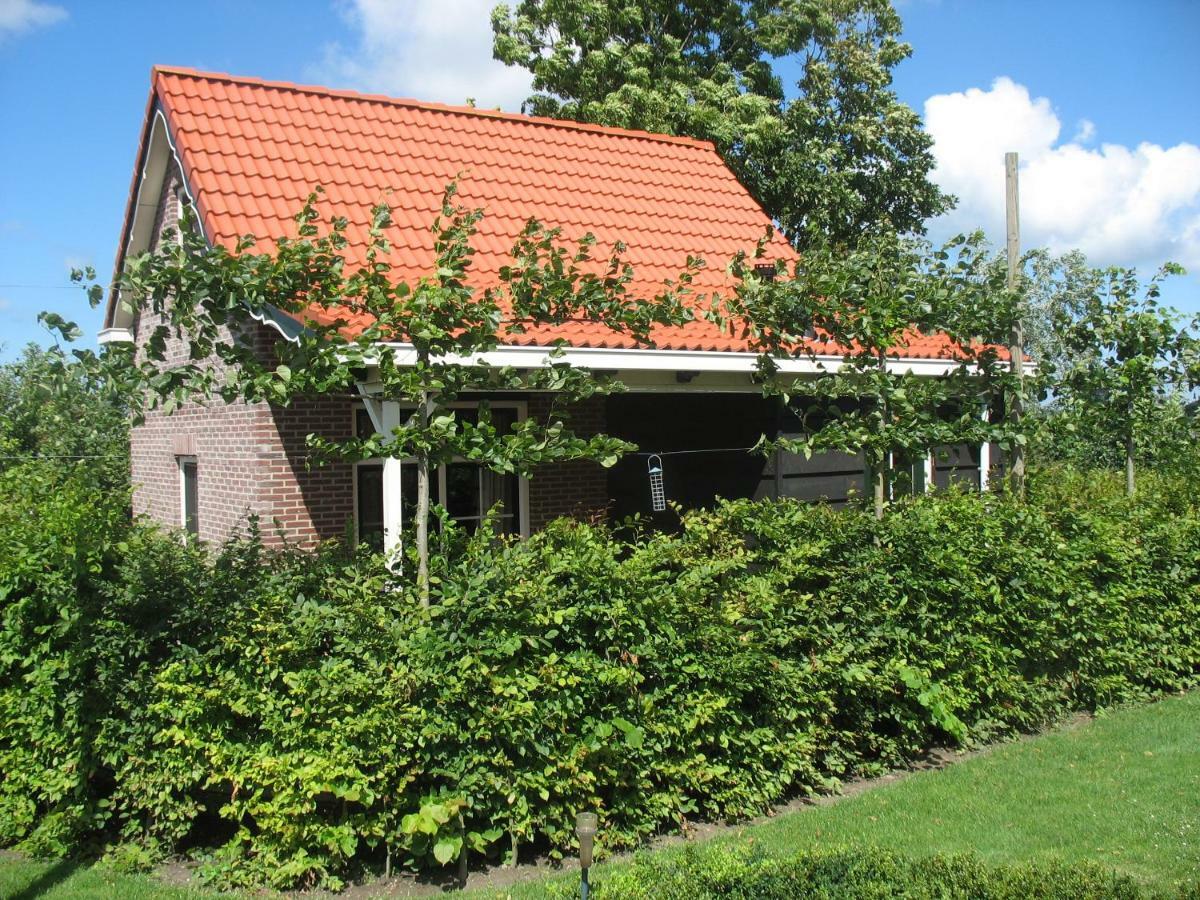 Vakantiewoning De Boshoorn Serooskerke  Ngoại thất bức ảnh